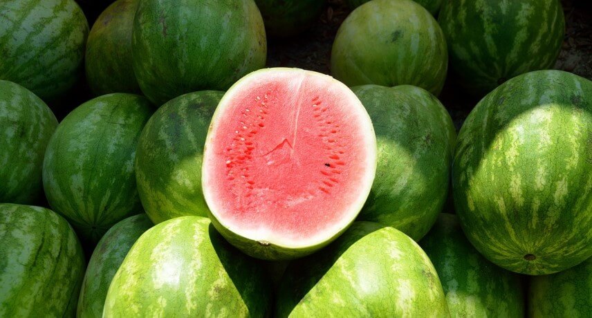 25 Fruits of Madeira Island - Watermelon